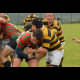 image 16 of 30
